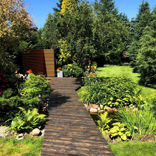 TARAS MALOWANY MASZYNOWO